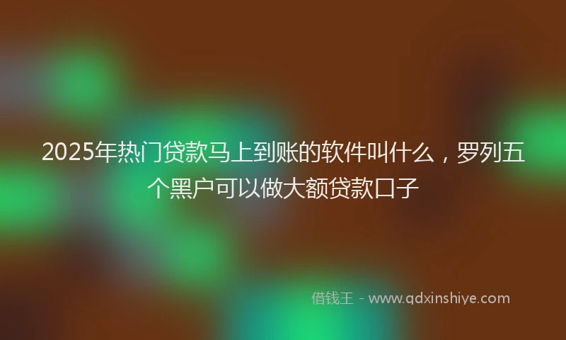 2025年热门贷款马上到账的软件叫什么，罗列五个黑户可以做大额贷款口子