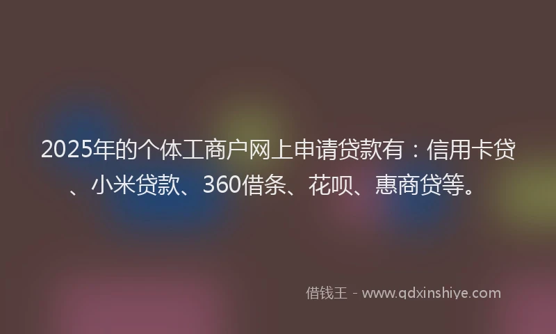2025年的个体工商户网上申请贷款有：信用卡贷、小米贷款、360借条、花呗、惠商贷等。