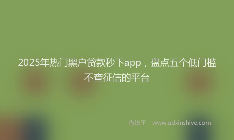 2025年热门黑户贷款秒下app，盘点五个低门槛不查征信的平台