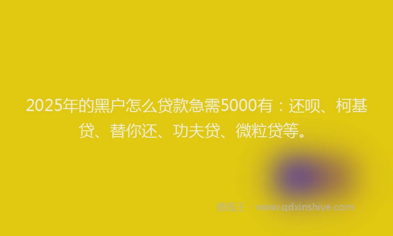 2025年的黑户怎么贷款急需5000有：还呗、柯基贷、替你还、功夫贷、微粒贷等。