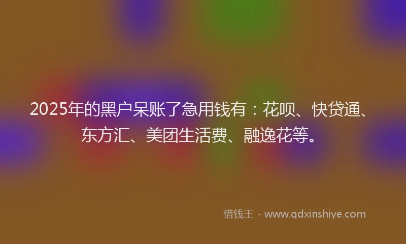 2025年的黑户呆账了急用钱有：花呗、快贷通、东方汇、美团生活费、融逸花等。