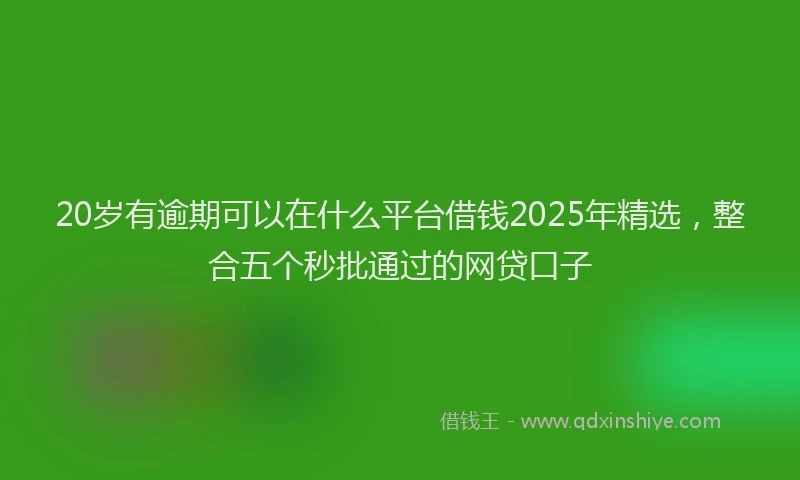 20岁有逾期可以在什么平台借钱2025年精选，整合五个秒批通过的网贷口子