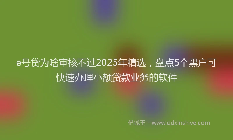 e号贷为啥审核不过2025年精选，盘点5个黑户可快速办理小额贷款业务的软件