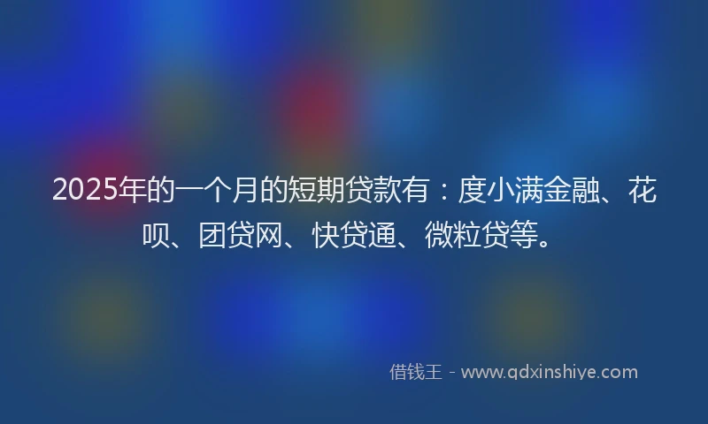 2025年的一个月的短期贷款有：度小满金融、花呗、团贷网、快贷通、微粒贷等。