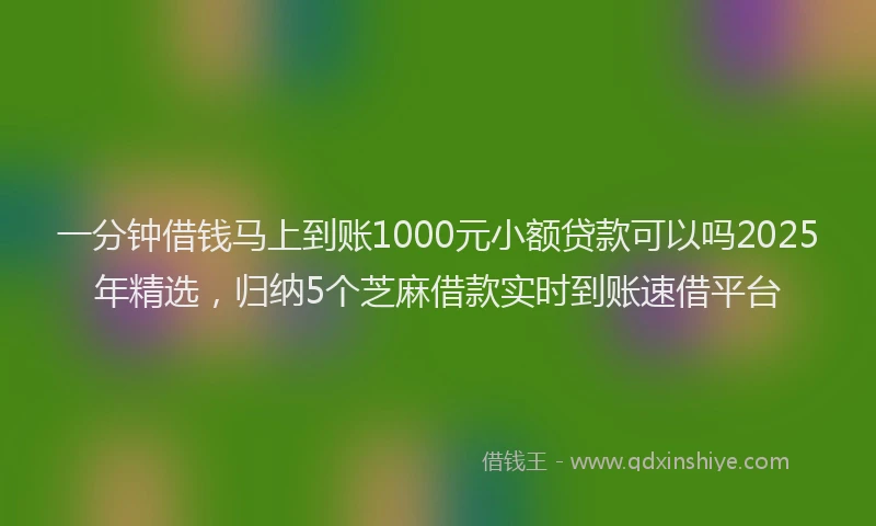 一分钟借钱马上到账1000元小额贷款可以吗2025年精选，归纳5个芝麻借款实时到账速借平台