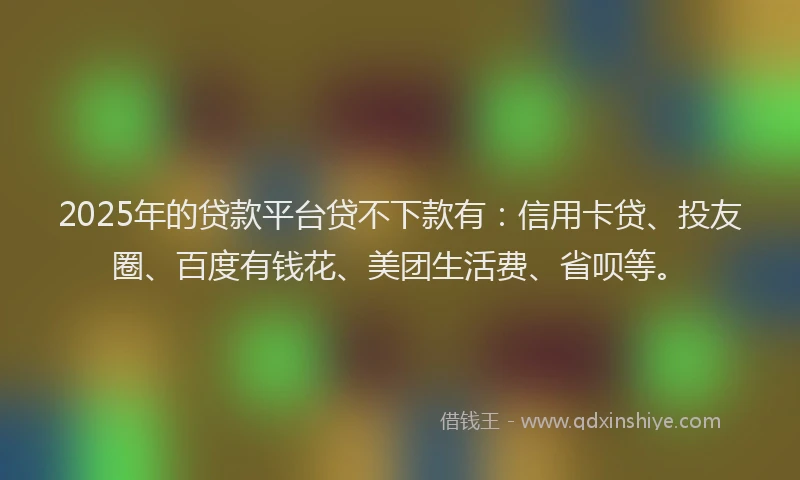 2025年的贷款平台贷不下款有：信用卡贷、投友圈、百度有钱花、美团生活费、省呗等。