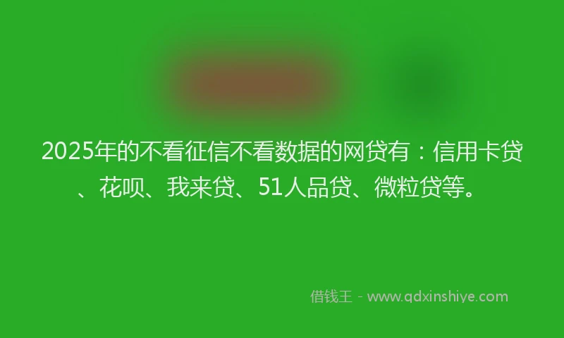 2025年的不看征信不看数据的网贷有：信用卡贷、花呗、我来贷、51人品贷、微粒贷等。
