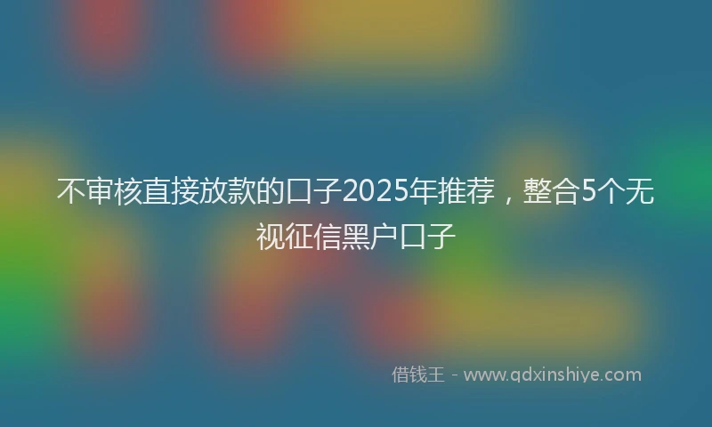 不审核直接放款的口子2025年推荐，整合5个无视征信黑户口子