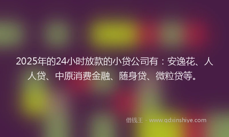 2025年的24小时放款的小贷公司有：安逸花、人人贷、中原消费金融、随身贷、微粒贷等。