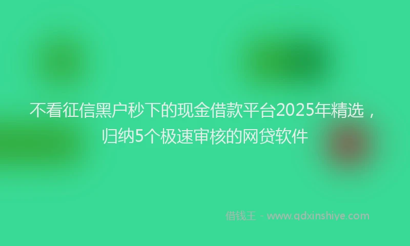 不看征信黑户秒下的现金借款平台2025年精选，归纳5个极速审核的网贷软件