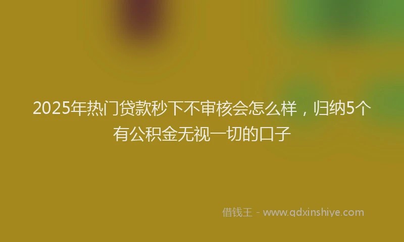 2025年热门贷款秒下不审核会怎么样，归纳5个有公积金无视一切的口子