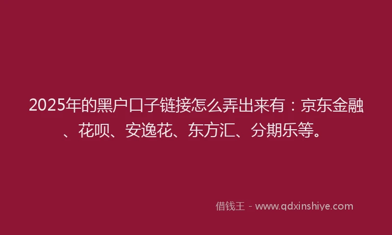 2025年的黑户口子链接怎么弄出来有：京东金融、花呗、安逸花、东方汇、分期乐等。