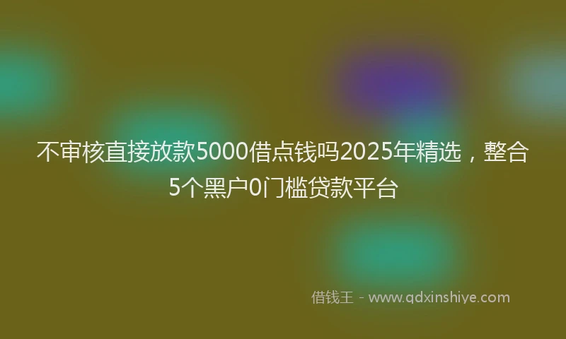 不审核直接放款5000借点钱吗2025年精选，整合5个黑户0门槛贷款平台
