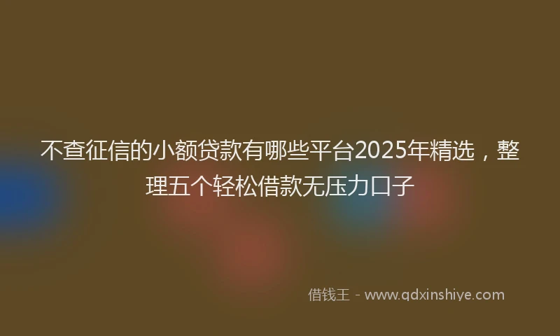 不查征信的小额贷款有哪些平台2025年精选，整理五个轻松借款无压力口子
