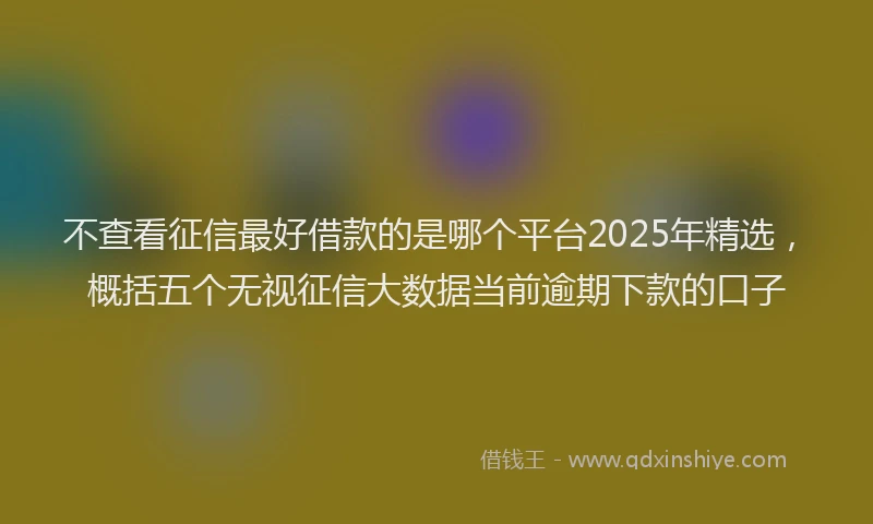 不查看征信最好借款的是哪个平台2025年精选，概括五个无视征信大数据当前逾期下款的口子