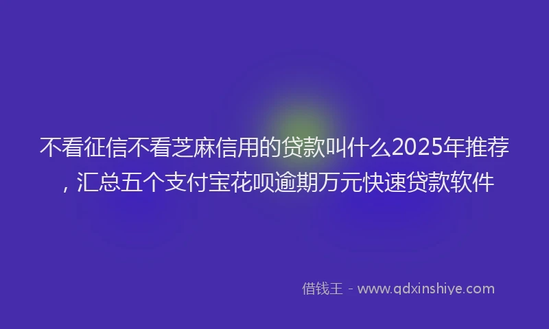 不看征信不看芝麻信用的贷款叫什么2025年推荐，汇总五个支付宝花呗逾期万元快速贷款软件