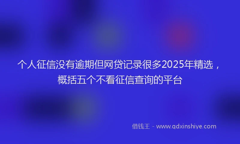 个人征信没有逾期但网贷记录很多2025年精选，概括五个不看征信查询的平台