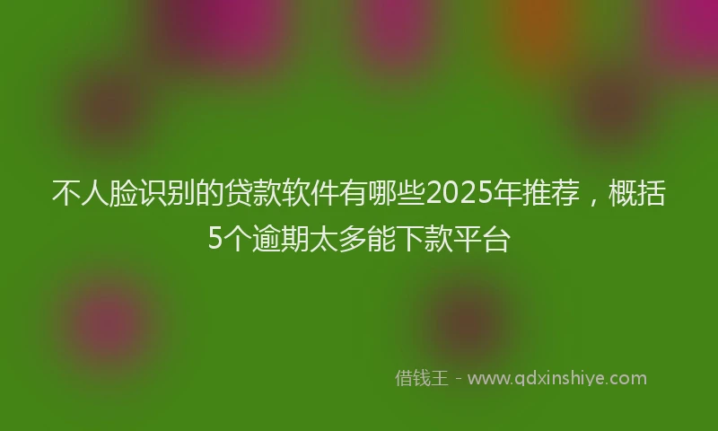 不人脸识别的贷款软件有哪些2025年推荐，概括5个逾期太多能下款平台