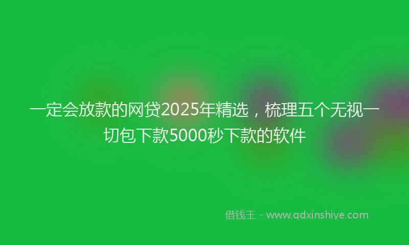 一定会放款的网贷2025年精选，梳理五个无视一切包下款5000秒下款的软件