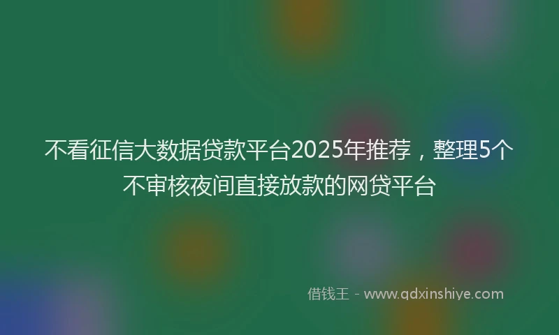 不看征信大数据贷款平台2025年推荐，整理5个不审核夜间直接放款的网贷平台