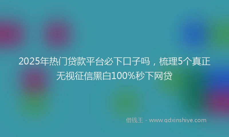 2025年热门贷款平台必下口子吗，梳理5个真正无视征信黑白100%秒下网贷