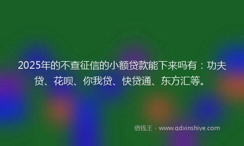 2025年的不查征信的小额贷款能下来吗有：功夫贷、花呗、你我贷、快贷通、东方汇等。