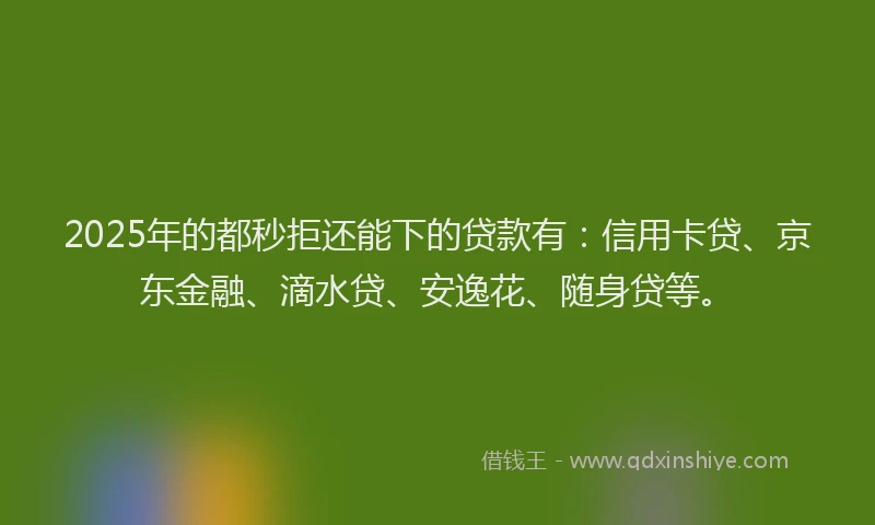2025年的都秒拒还能下的贷款有：信用卡贷、京东金融、滴水贷、安逸花、随身贷等。
