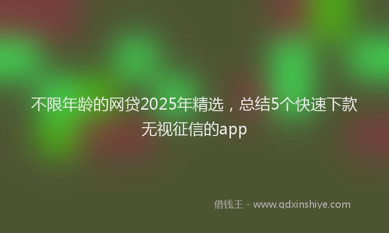 不限年龄的网贷2025年精选，总结5个快速下款无视征信的app