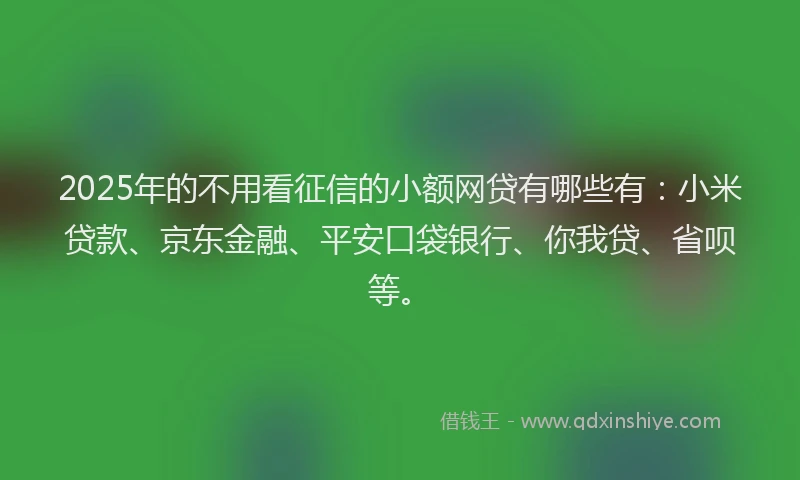 2025年的不用看征信的小额网贷有哪些有：小米贷款、京东金融、平安口袋银行、你我贷、省呗等。
