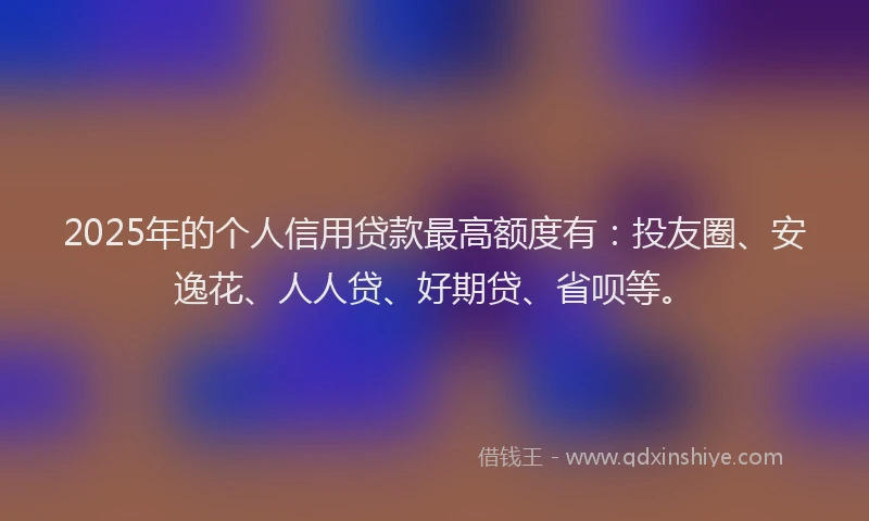 2025年的个人信用贷款最高额度有：投友圈、安逸花、人人贷、好期贷、省呗等。