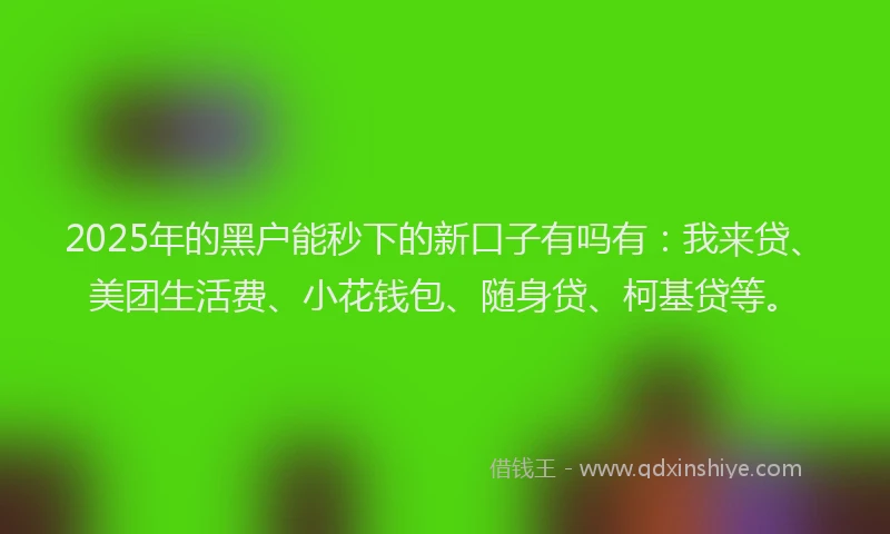 2025年的黑户能秒下的新口子有吗有：我来贷、美团生活费、小花钱包、随身贷、柯基贷等。