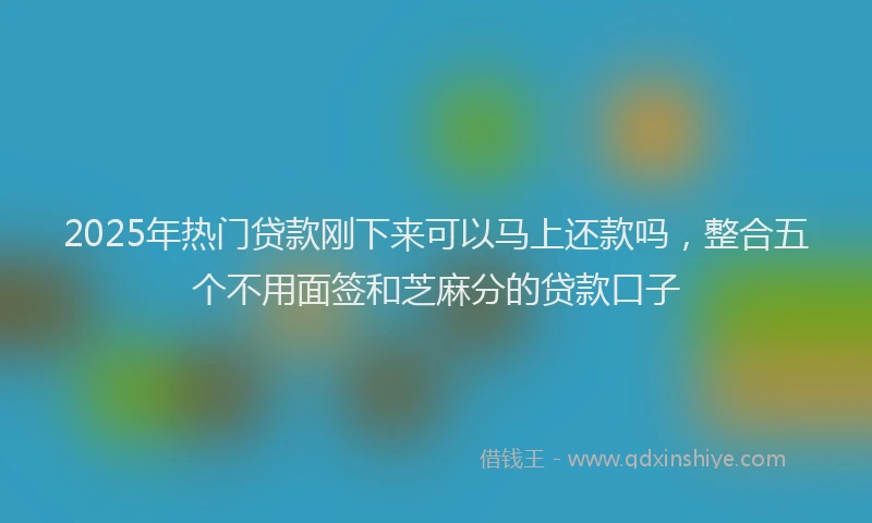 2025年热门贷款刚下来可以马上还款吗，整合五个不用面签和芝麻分的贷款口子