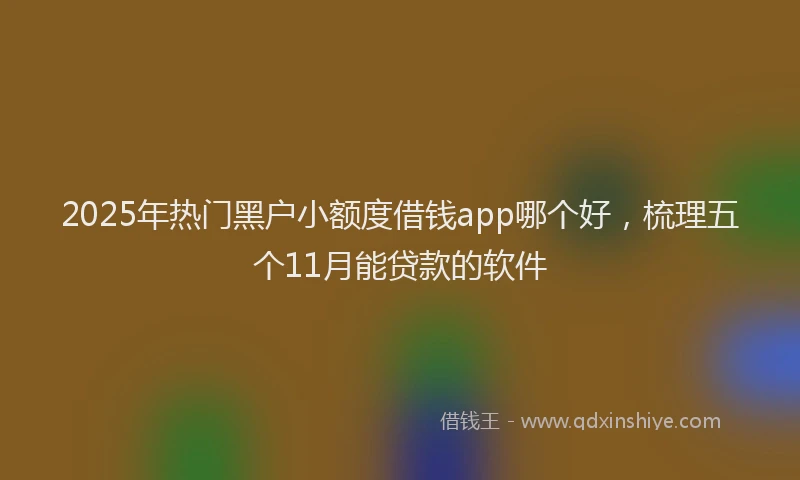 2025年热门黑户小额度借钱app哪个好，梳理五个11月能贷款的软件