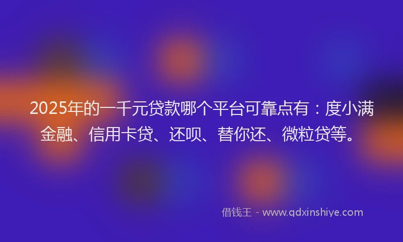 2025年的一千元贷款哪个平台可靠点有：度小满金融、信用卡贷、还呗、替你还、微粒贷等。