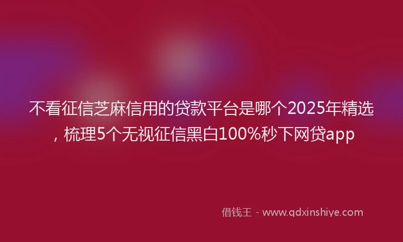不看征信芝麻信用的贷款平台是哪个2025年精选，梳理5个无视征信黑白100%秒下网贷app