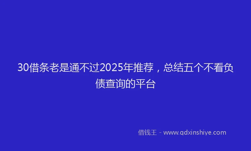 30借条老是通不过2025年推荐，总结五个不看负债查询的平台