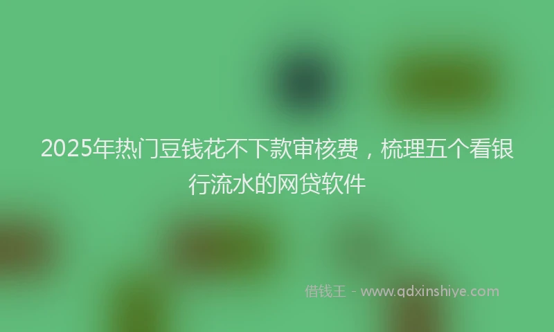 2025年热门豆钱花不下款审核费，梳理五个看银行流水的网贷软件