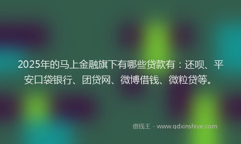 2025年的马上金融旗下有哪些贷款有：还呗、平安口袋银行、团贷网、微博借钱、微粒贷等。