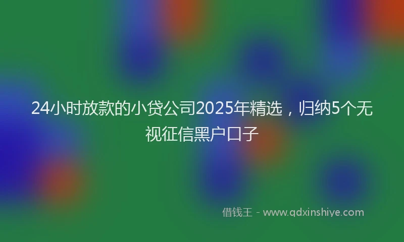 24小时放款的小贷公司2025年精选，归纳5个无视征信黑户口子