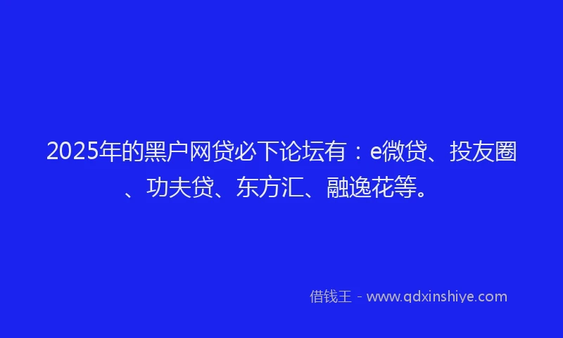 2025年的黑户网贷必下论坛有：e微贷、投友圈、功夫贷、东方汇、融逸花等。