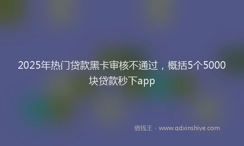 2025年热门贷款黑卡审核不通过，概括5个5000块贷款秒下app