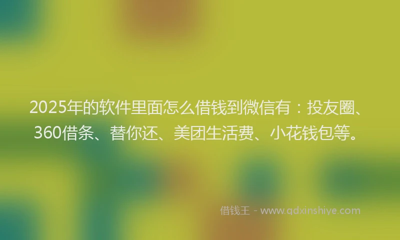2025年的软件里面怎么借钱到微信有：投友圈、360借条、替你还、美团生活费、小花钱包等。