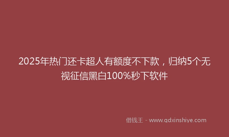 2025年热门还卡超人有额度不下款，归纳5个无视征信黑白100%秒下软件