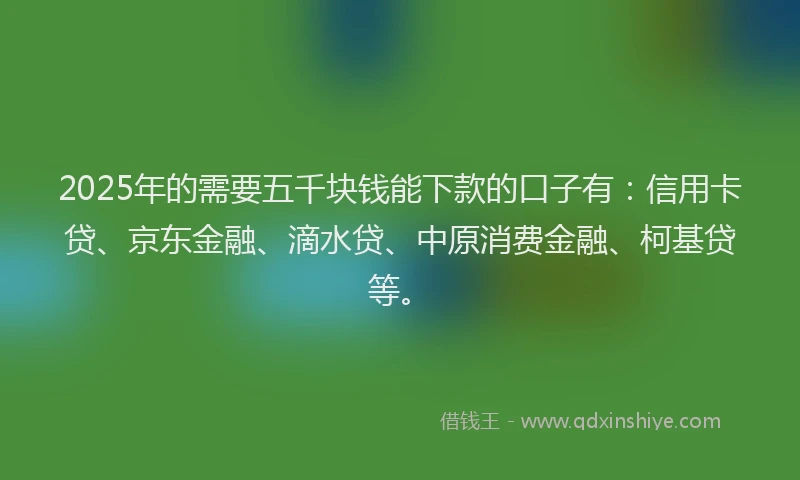 2025年的需要五千块钱能下款的口子有：信用卡贷、京东金融、滴水贷、中原消费金融、柯基贷等。