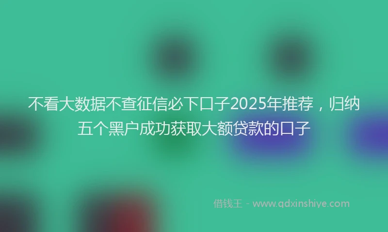 不看大数据不查征信必下口子2025年推荐，归纳五个黑户成功获取大额贷款的口子