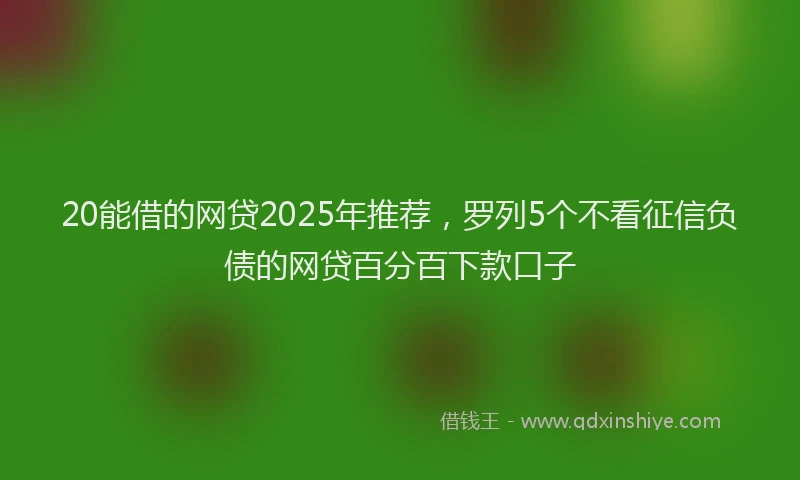20能借的网贷2025年推荐，罗列5个不看征信负债的网贷百分百下款口子