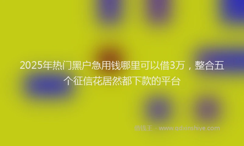 2025年热门黑户急用钱哪里可以借3万，整合五个征信花居然都下款的平台