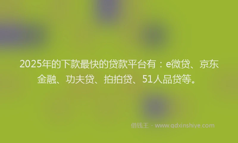 2025年的下款最快的贷款平台有：e微贷、京东金融、功夫贷、拍拍贷、51人品贷等。