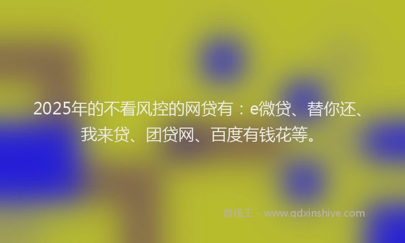 2025年的不看风控的网贷有：e微贷、替你还、我来贷、团贷网、百度有钱花等。
