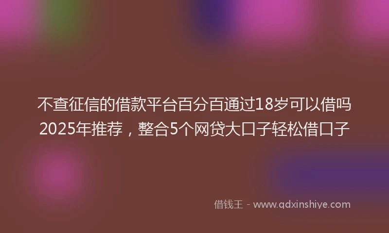 不查征信的借款平台百分百通过18岁可以借吗2025年推荐，整合5个网贷大口子轻松借口子